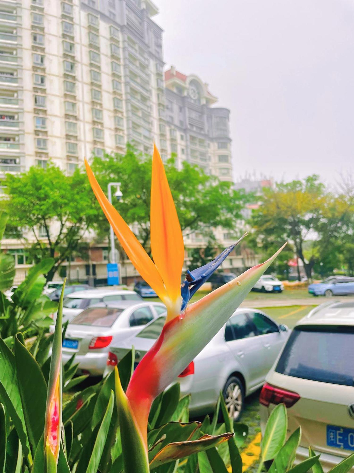 Xiamen Xiang An Yi Hao Hotel Exterior photo